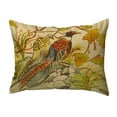 thumbnail image 2 of Betsy Drake KS700 11 x 14 in. Pheasant Non-Corded Pillow, 2 of 2