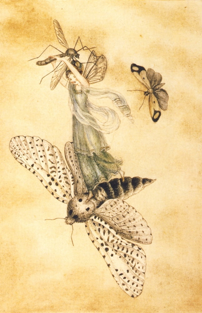 Fairy On Moth Canva