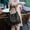 Black, variant on JingChun Clearance Under $2.00 Fashionable Women's Bags Large Capacity Multi Functional Bag Handbag Shoulder Crossbody Bags Combining Practicality and Fashion