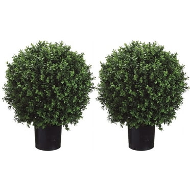 DLD Artificial Boxwood Balls, 24 " High Ball Shaped Boxwood Topiary - 16" Diameter Artificial Tree- Plastic Pots - Set of 2