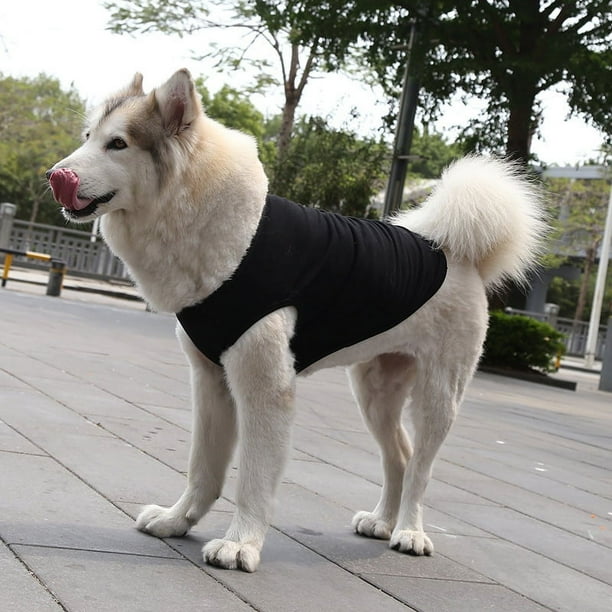 Zhuge Chaleco para perros y gatos, chaleco transpirable para mascotas, sudadera para cachorros, ropa para perros, abrigos para perros pequeños, medianos y gatos, XL, A30