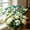 Green, variant on Colorful Butterfly Garden Stakes Decorative Picks For Outdoor Yard Flower Bed And Indoor Floral Arrangements 12 Pcs