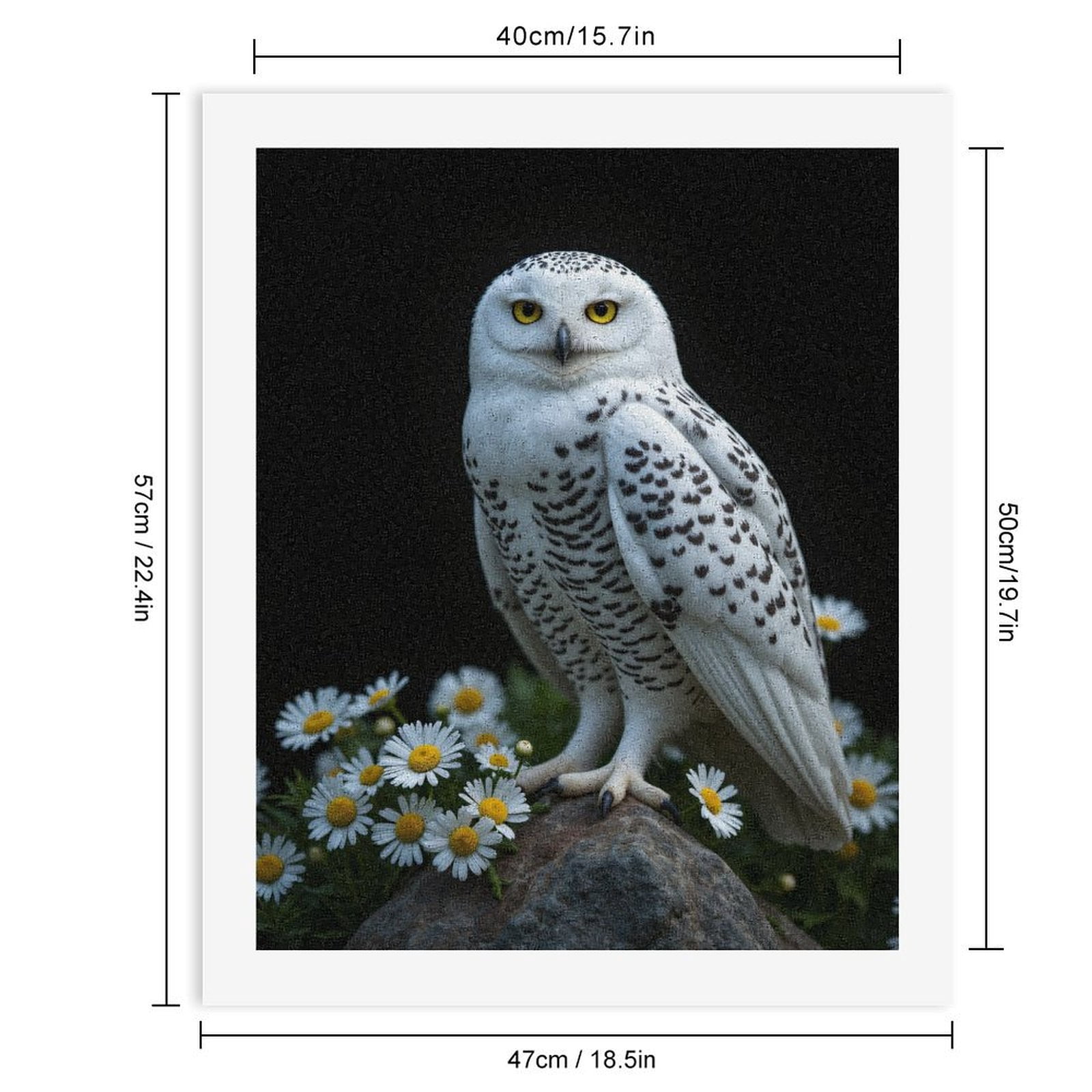 Paint by Numbers Kit for Adults, Snowy Owl On Rock With Daisies Paint by Numbers, Easy Paint by Numbers Kit for Adults Beginner, DIY Adult Paint by Number Kits on Canvas, Home Decor