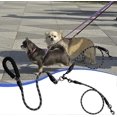 thumbnail image 2 of Doppelleine Für Zwei Hunde – Geteiltes Wanderlaufgeschirr Schwarz M Für Haustiere Unterwegs – Leine Für 2 Hunde, 2 of 5