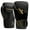 Black/Gold, variant on Hayabusa Sport Boxing Gloves - Black/Charcoal, 14oz