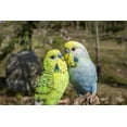 thumbnail image 3 of Mouvement Activé COUPLE Chant Budgerrigar sur la Souche, 3 of 5