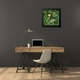 thumbnail image 3 of Haase, Andrea 20x20 Black Modern Framed Museum Art Print Titled - Exotic Paradise Jungle Birds, 3 of 4