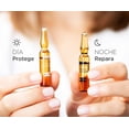 thumbnail image 2 of ISDIN CEUTICS DAYNIGHT 20U 2ML SERUM ANTIOXIDANTE y REPARADOR, 2 of 7