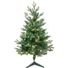 Kurt Adler 3-Foot Warm White LED Jackson Pine Tree