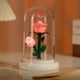 thumbnail image 4 of Luz de Noche con Flores Preservadas | Minilámpara Led Ambiental | Lámpara de Noche con Luz Cálida | Decoración para El Hogar para San Valentín, Cumpleaños y Navidad | Luz de Noche Portátil de Bajo Co, 4 of 6
