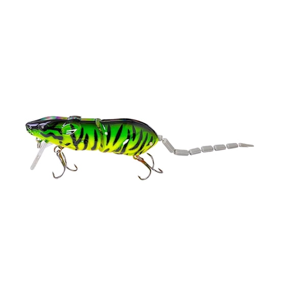 Realistic 3D Fishing for Trout Catfish Freshwater Saltwater Attractants with Lifelike Design