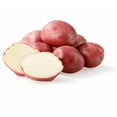 thumbnail image 6 of 2 Lbs Red Potatoes Whole Tubers Seeds Potatoes Red Potato Seeds for Planting, 6 of 6