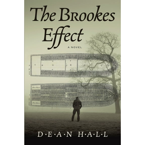 The Brookes Effect, (Paperback)