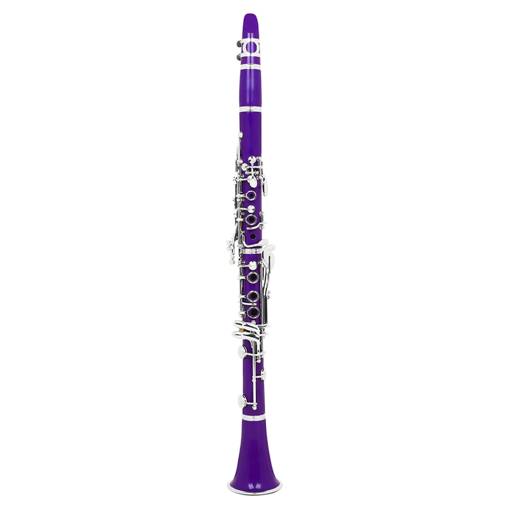 Miiottaa Bb Tone Clarinet for Beginners, 17 Keys Student Level Plastic Clarinet Woodwind