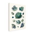 thumbnail image 2 of Vision Studio 'Celadon Shells II' Canvas Art, 2 of 4