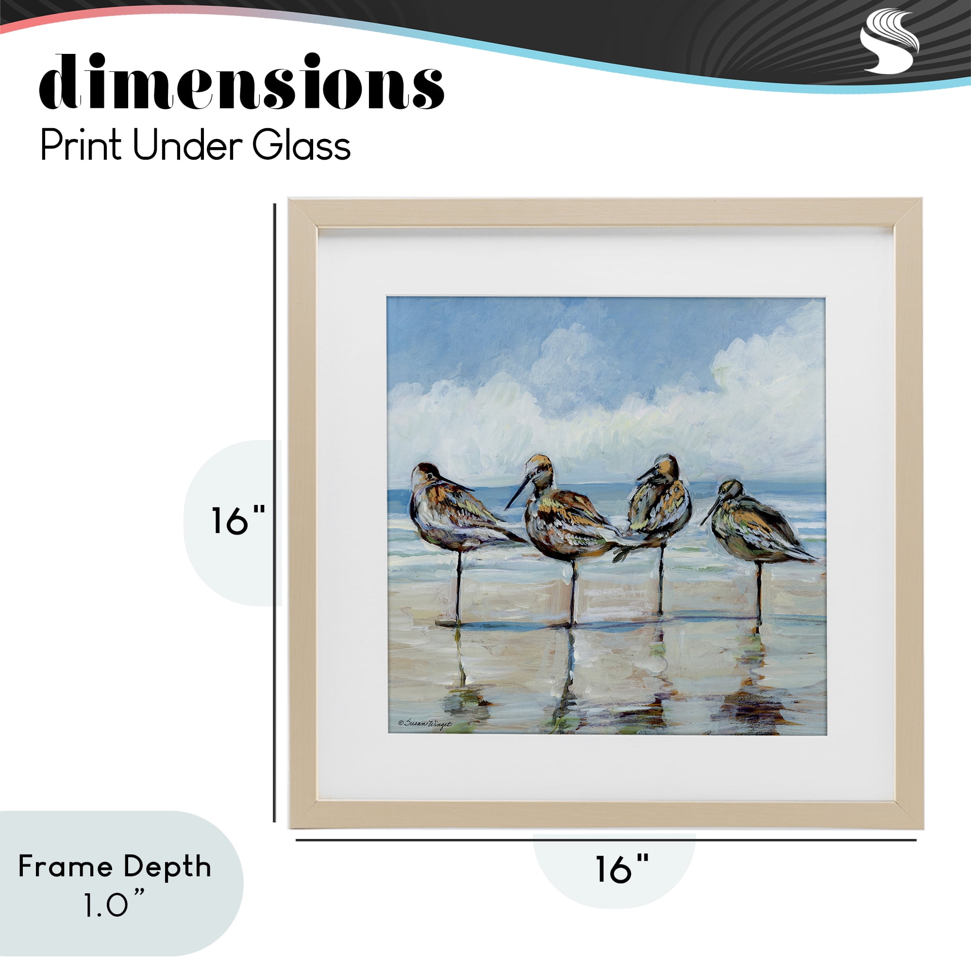 Stupell Industries Sandpipers Balancing On Beach Birch Framed Print Under Glass, design by Susan Winget