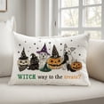 thumbnail image 6 of Creative Products Witch Way to Treats 14 x 20 Spun Poly Pillow, 6 of 9