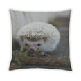 thumbnail image 2 of Ahgly Company Animals Hedgehog Outdoor Throw Pillow, 18 inch by 18 inch, 2 of 6