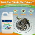 Fruit Fly Drain Treatment Gel, Eliminate Gnats, Drain Flies, Sewer