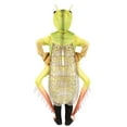 thumbnail image 5 of Exclusive Kid's Deluxe Grasshopper Costume, 5 of 6