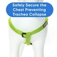 thumbnail image 4 of Pawtitas Reflective Dog Harness - Green - (XS) Extra Small Step in Dog Harness Training & Walking, 4 of 9