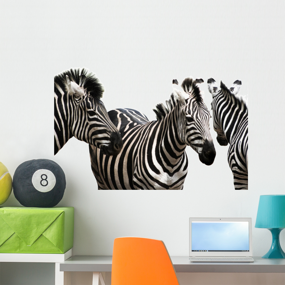Zebra Wall Mural by Wallmonkeys Peel and Stick Graphic (36 in W x 23 in