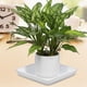 thumbnail image 5 of 2 platillos de plástico para plantas: bandeja cuadrada para recoger agua de 25 cm, base para macetas de balcón y jardín, apta para bonsáis y suculentas., 5 of 5