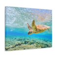 thumbnail image 2 of Funny Turtle Silly Turtle Scene Outside Wall Art Ready to Hang Unframed, 2 of 7