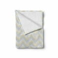 thumbnail image 2 of Grey Soft Flannel Fleece Throw Blanket, Vintage Chevron Pattern with Pale Pastel Colors Zig-zag Inverted V-Shaped Image, Cozy Plush for Indoor and Outdoor Use, 60" x 80", Yellow Grey, by Ambesonne, 2 of 6