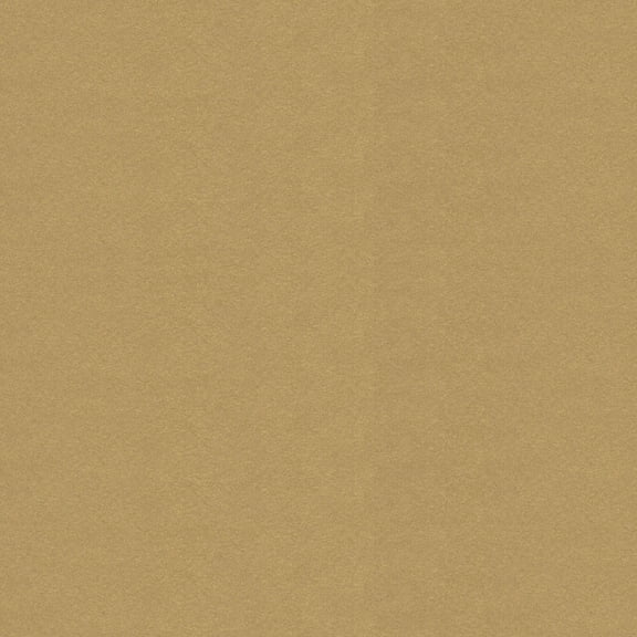 Recollections Solid Metallic Paper, 12" x 12", 48 Pack