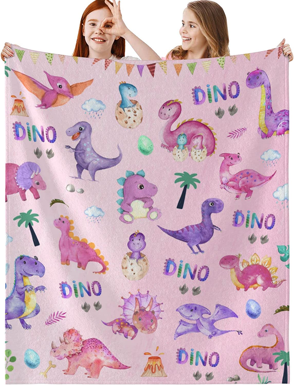 Kids Dinosaur Blanket for Boys Cute Fleece Toddler Blanket Lightweight