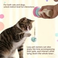 thumbnail image 6 of RYDCOT Cat Toys for Indoors, Interactive Toy Wand Pack, Pom-pom Kitten Toys, Feather Fishing Pole Toy for Play Chase Exercise, Fishing Device Recyclable Launching (1Pcs), 6 of 6