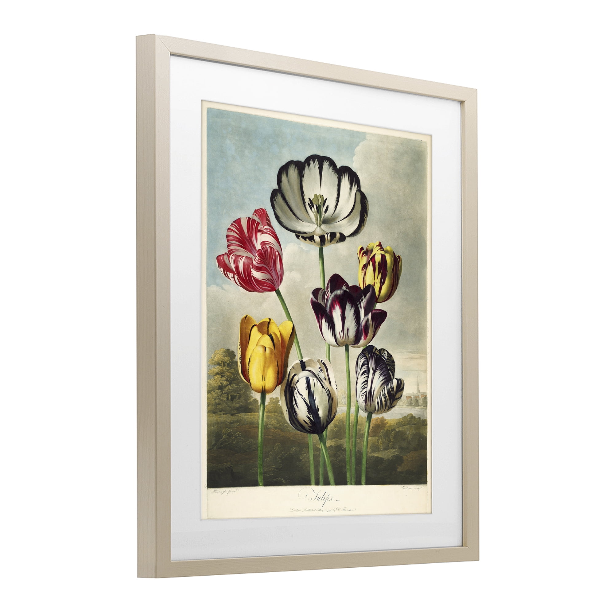 Stupell Industries Tulips From The Temple Birch Framed Print Under Glass, design by Print Collection
