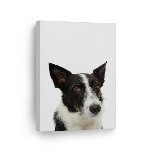 Smile Art Design Printed Animal Abstract Framed Canvas Art Print,8" x 12"
