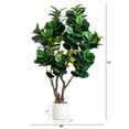 thumbnail image 2 of Nearly Natural 6ft. Artificial Grand Fiddle Leaf Tree in White Decorative Planter, 2 of 8