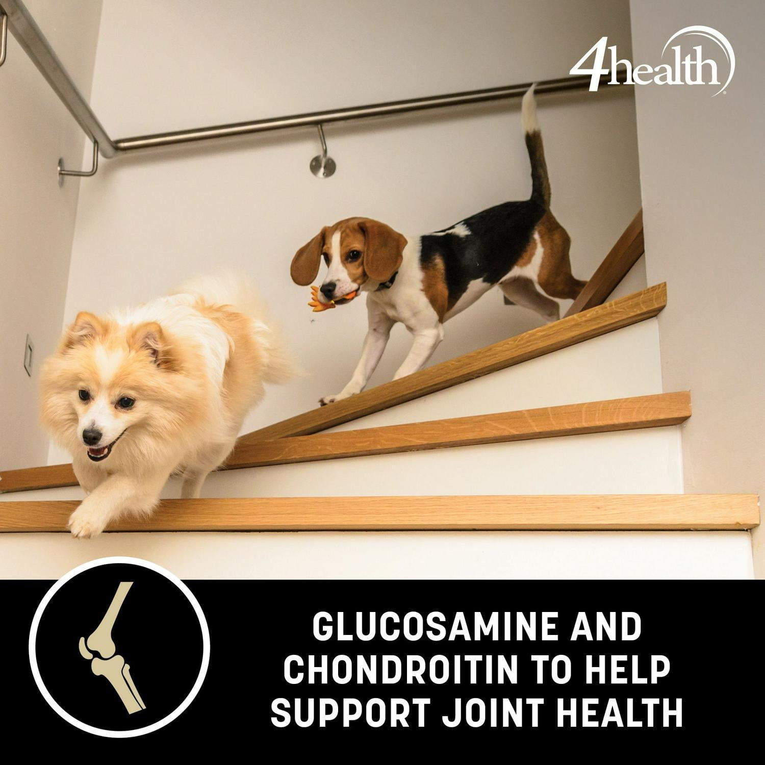 4health dog food walmart