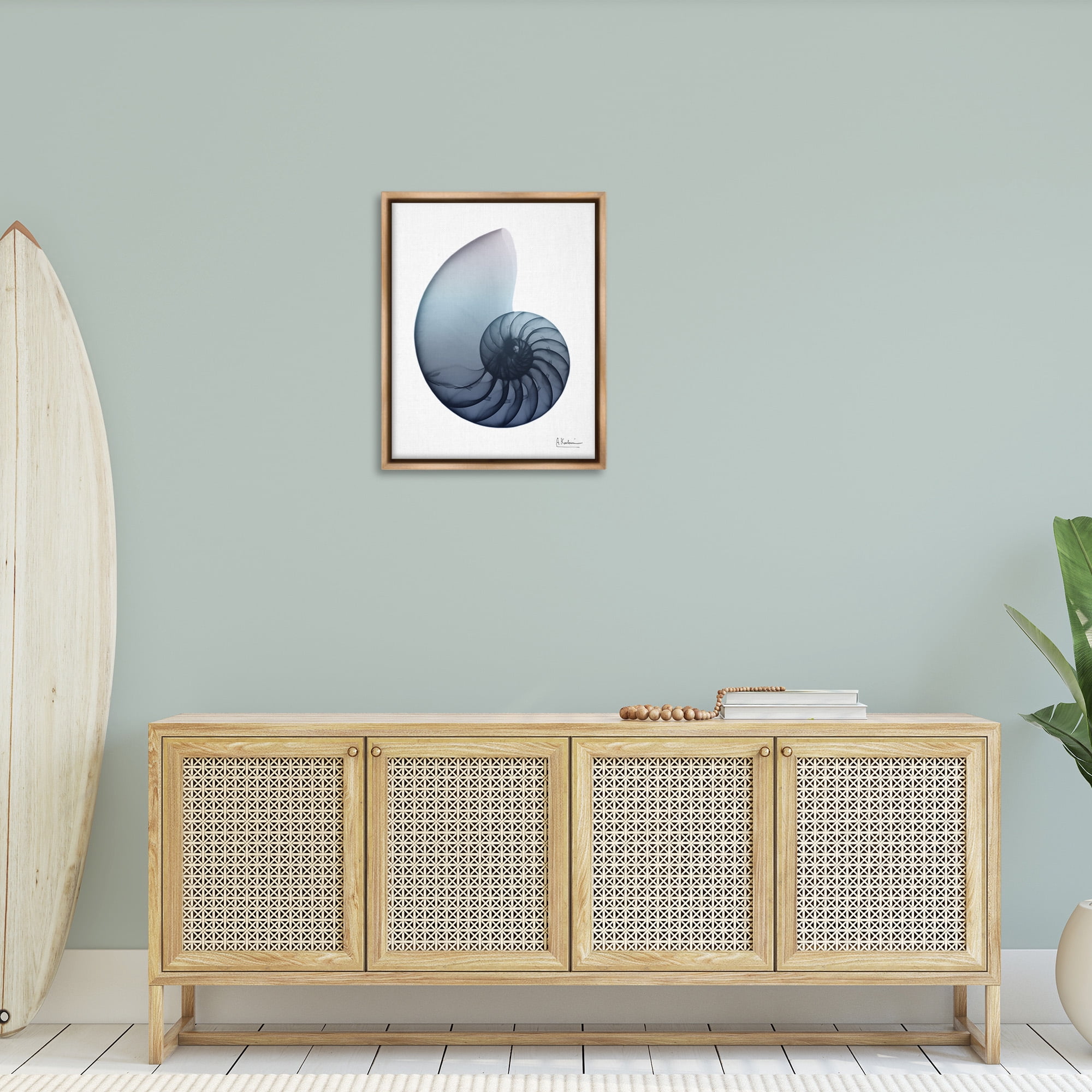 Stupell Industries Contemporary Nautilus Shell Abstract Photography Brown Floater Framed Canvas Art Print Wall Art, 25 x 31