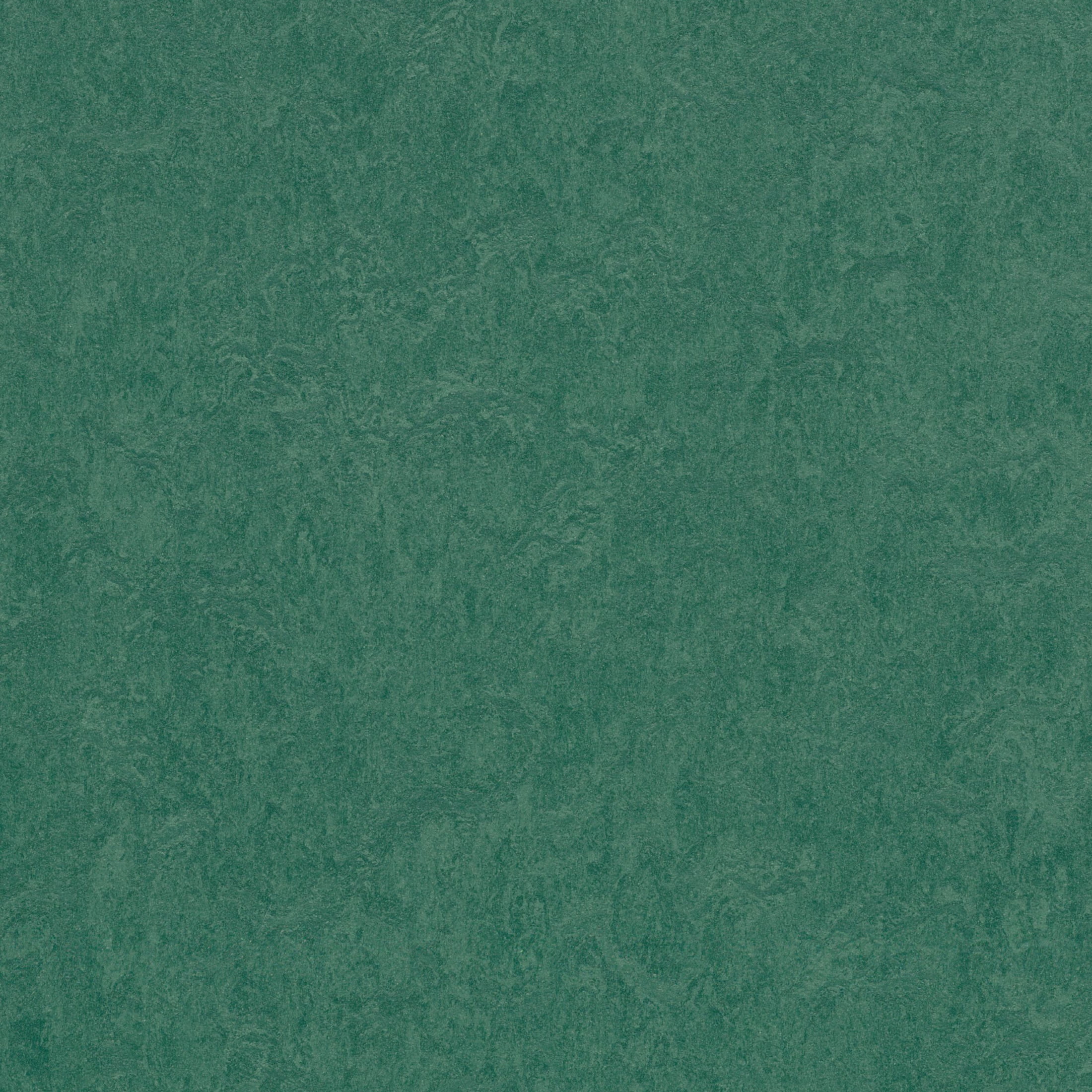 Forbo Flooring Marmoleum Cinch Loc Seal 11.81" x 11.81" Laminate Square in Hunter Green 6.78 Sq ft