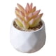 thumbnail image 5 of Simulación suculenta Advancent artificial Bonsai Flor falsa para sala de estar, 5 of 6