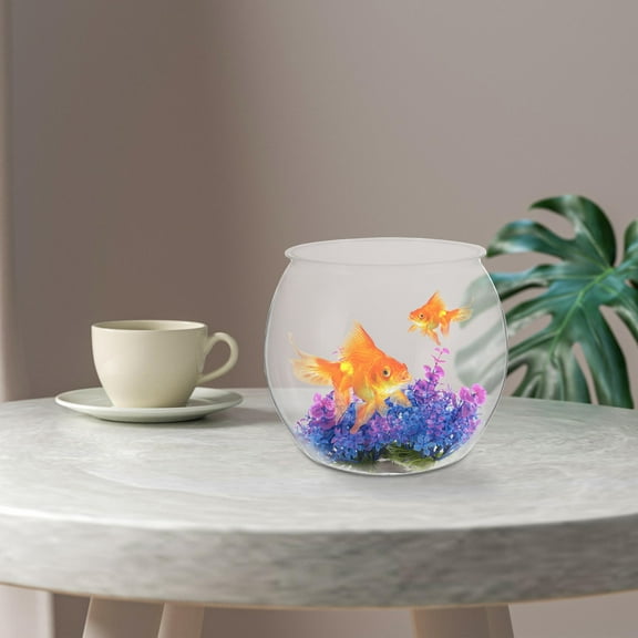 LULULION 1Pcs Flat Bottom Desktop Fish Tank Durable Transparent Container
