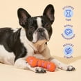 thumbnail image 3 of Oodles Durable Rubber Textured Dog Toy 2-Piece Set, Pink Ball and Bone, One Size, 3 of 8