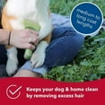 thumbnail image 4 of Safari Shed Magic De-Shedding Tool for Dogs with Medium to Long Hair, Large, 4 of 7