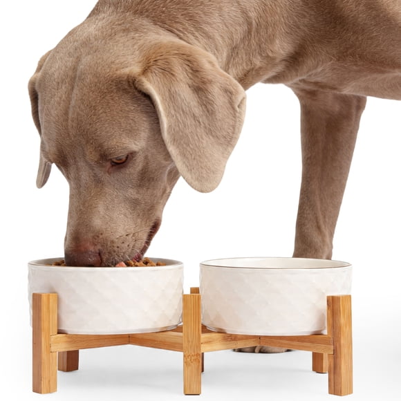 One Paw, Un bol pour chien en céramique texturée sur un support en bambou avec une seule patte, antidérapant et facile à nettoyer, 450 ml