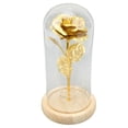 thumbnail image 1 of Enchanted Rose Romantic Gifts, Glass Dome Lucky Dome Glass and Red Rose Beautiful Symbolism  for RV Decor for Valentine 's Day Gold Leaf Rose Golden,Gold Leaf Rose Red,Green Leaf, 1 of 8
