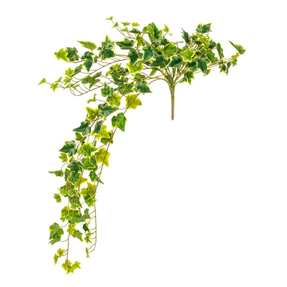 Vickerman 34" Artificial Varigated Ivy Hanging Bush.