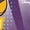 PURPLE, variant on - Standard Sports - BMX Frequent Flyer - Men's Short Sleeve Graphic T-Shirt