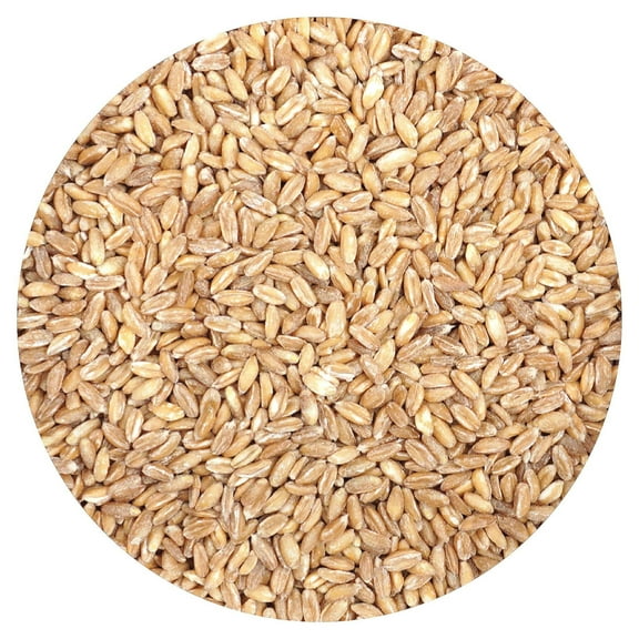 Farro, 1 Pound Bulk Bag, Good Source of Dietary Iron, Fiber and Protein, Mediterranean Diet,Salads, Soups