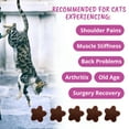 thumbnail image 4 of Mobility Soft Chews for Cats, 4 of 6