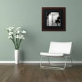 thumbnail image 3 of Trademark Fine Art "Lake Vista III" Canvas Art by Alan Blaustein, Black Matte, Wood Frame, 3 of 4