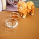 thumbnail image 5 of Tazón de gato acrílico gato cachorro bebiendo tazón mascota placa doble tazón de gatito cubierta de comida de gatito cubierta, 5 of 5